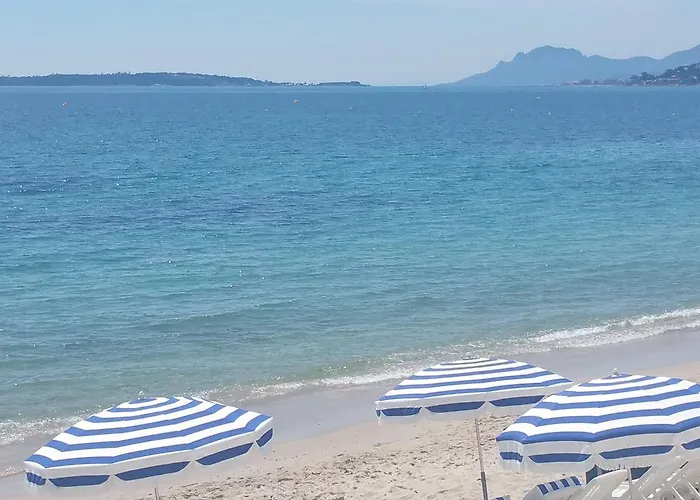 Les Pins Bleus Appartement *